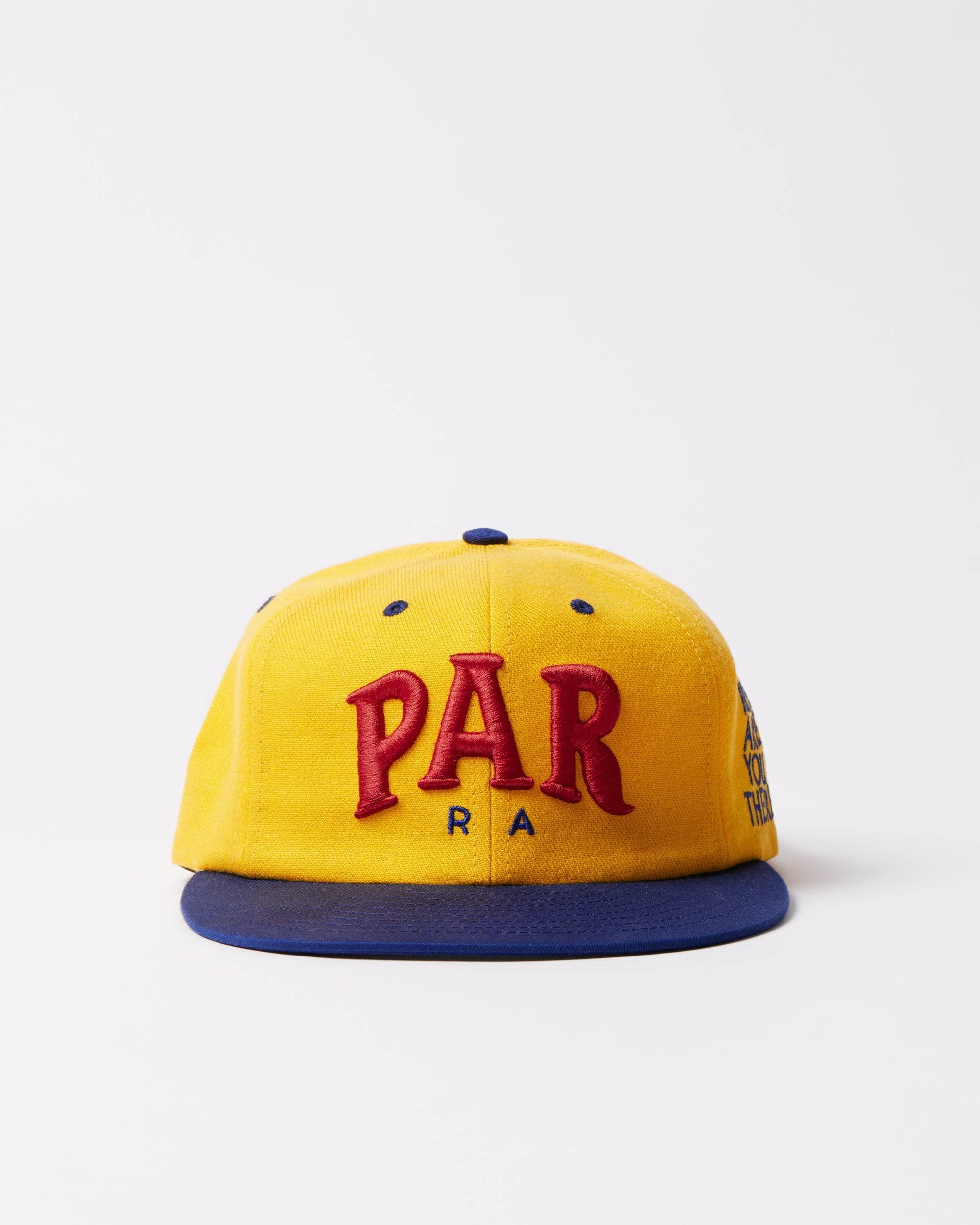 Dollar store 6 panel hat – by Parra USA