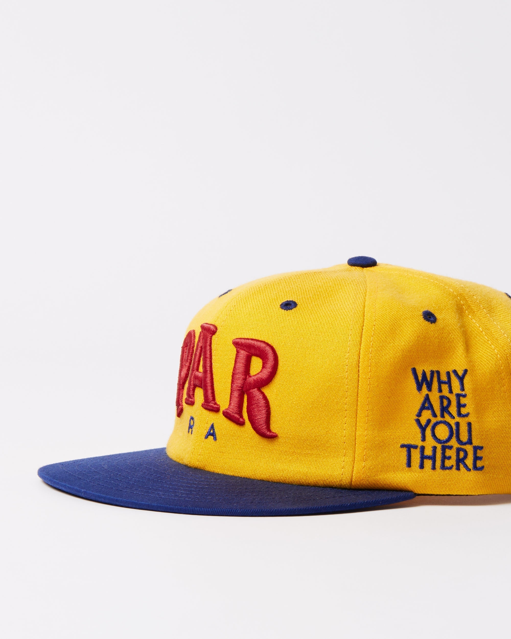 Dollar store 6 panel hat – by Parra USA