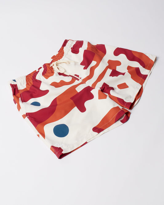 Abstract mountain swim shorts