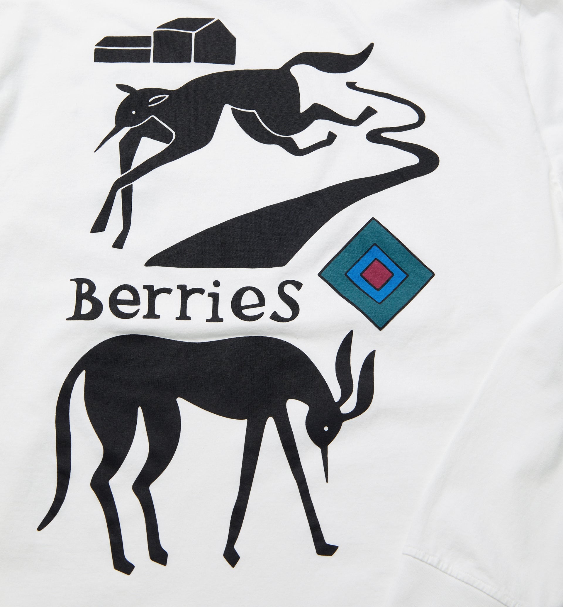 Parra - the berry farm long sleeve t-shirt